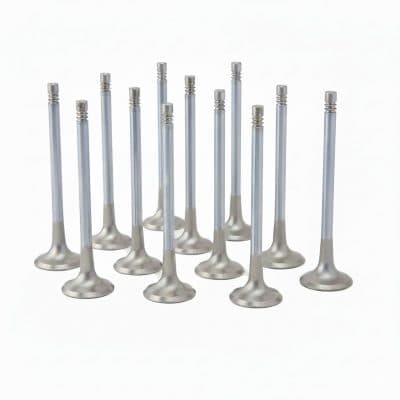 Audi 3.0L RS4, RS5 (EA839) ZRP Exhaust Valve Inconel +2.0mm (Set of 12)